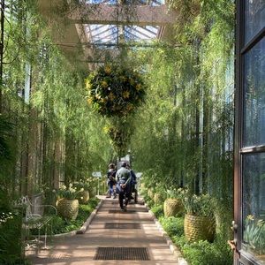 Meet your Posher, Abigail